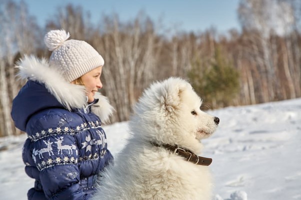 race-de-chien-froid