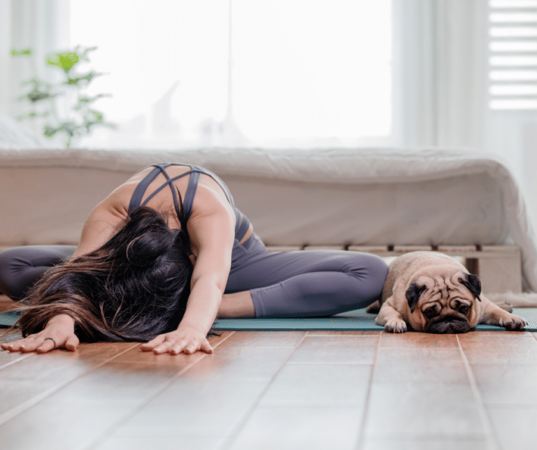 yoga-canin
