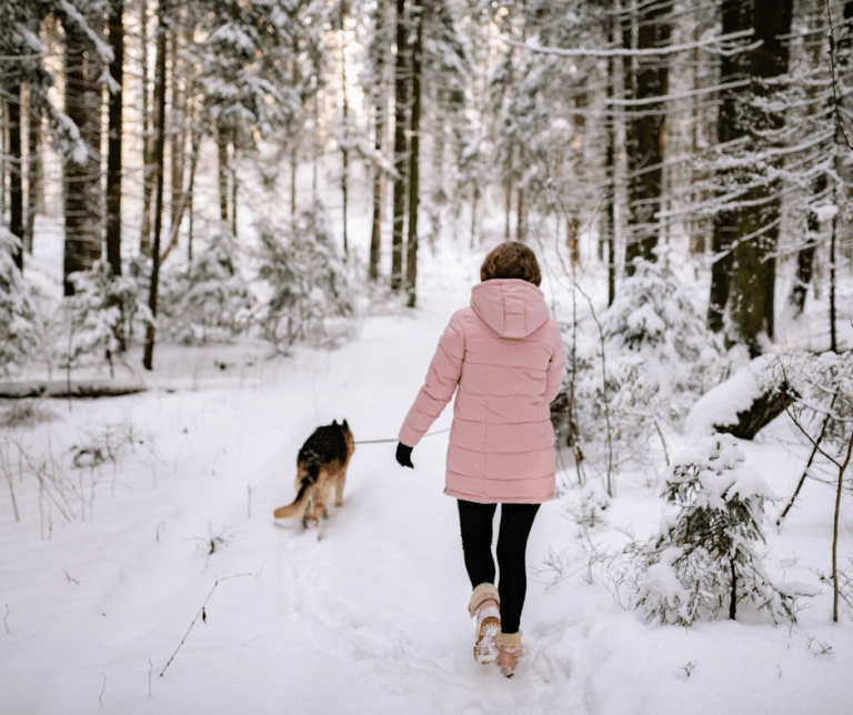 promenade-chien-hiver